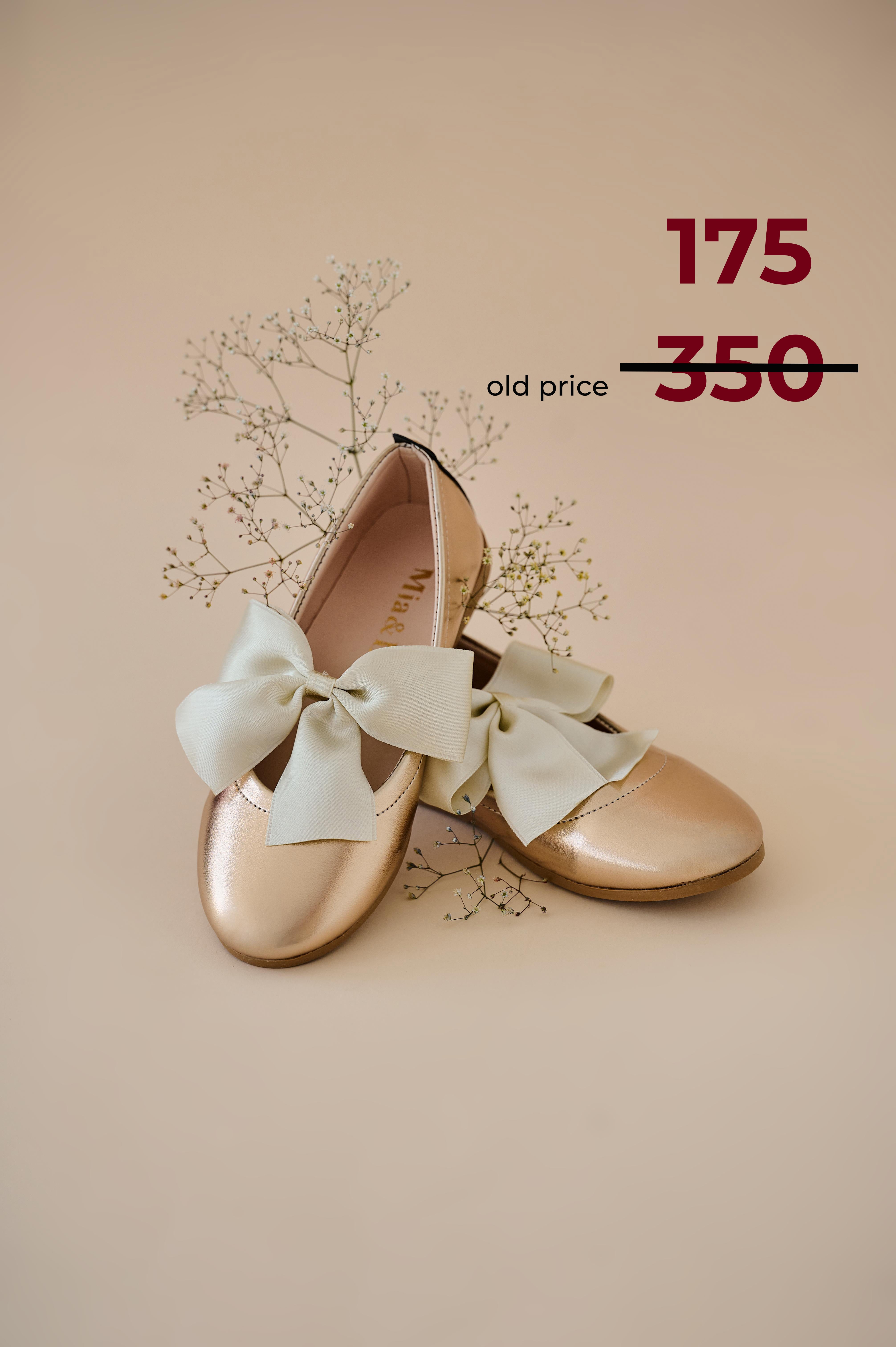 Bronze Shoes With Fionka